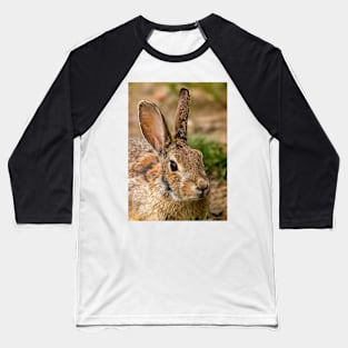 Wild Rabbit Close Up Baseball T-Shirt